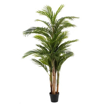 Cargar imagen en el visor de la galería, Planta Areca Palmera Verde PVC 189
