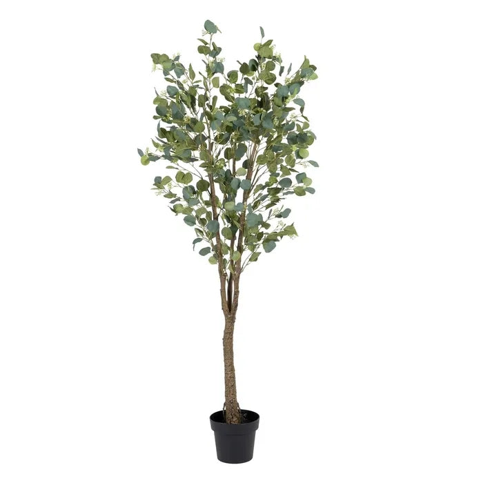 Planta Eucalipto Verde PVC 80 x 75 x 173
