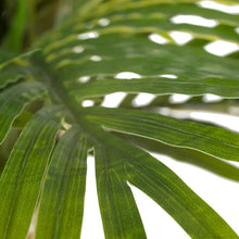 Cargar imagen en el visor de la galería, Planta Areca Palmera Verde PVC 189
