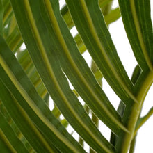 Cargar imagen en el visor de la galería, Planta Areca Palmera Verde PVC 189
